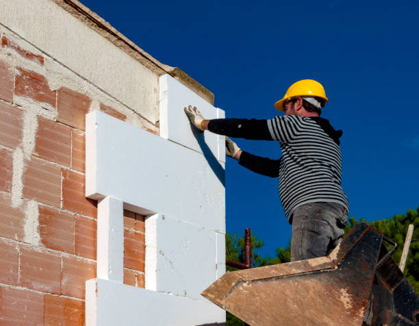 Best Cellulose Insulation in Alum Rock, CA