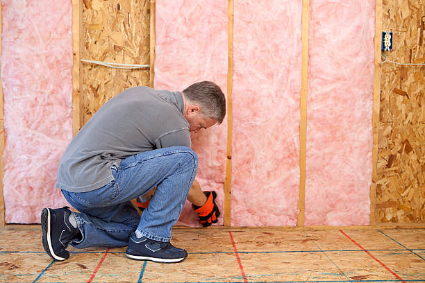 Best Specialized Insulation Services in Alum Rock, CA